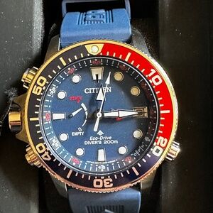 Citizen Promaster Aqualand Eco Drive Watch